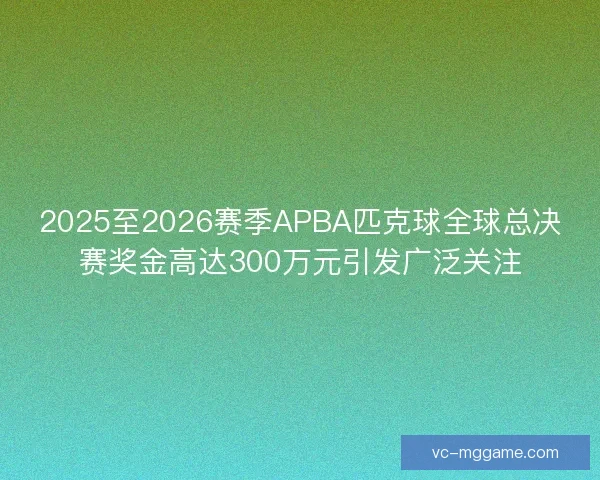 2025至2026赛季APBA匹克球全球总决赛奖金高达300万元引发广泛关注